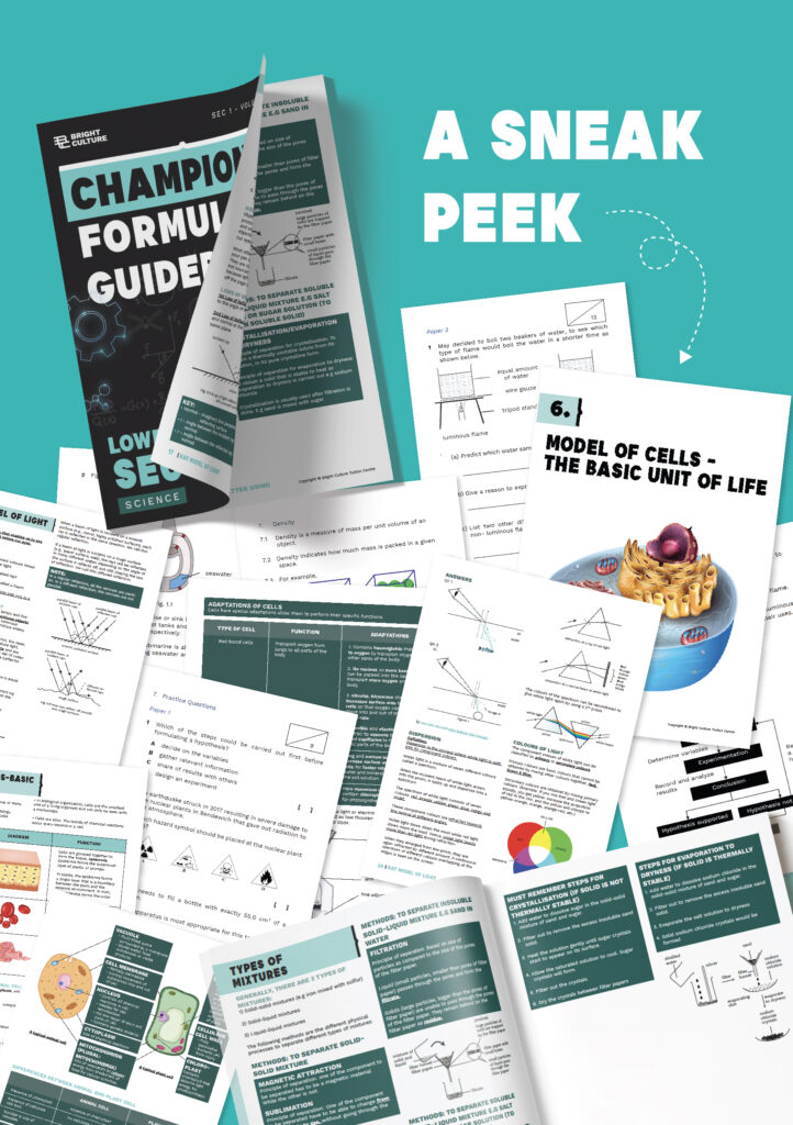 SEC-2 Chemical Changes ( 1st Run ) - 5th June 2025 10 AM- 1 PM - Bright ...