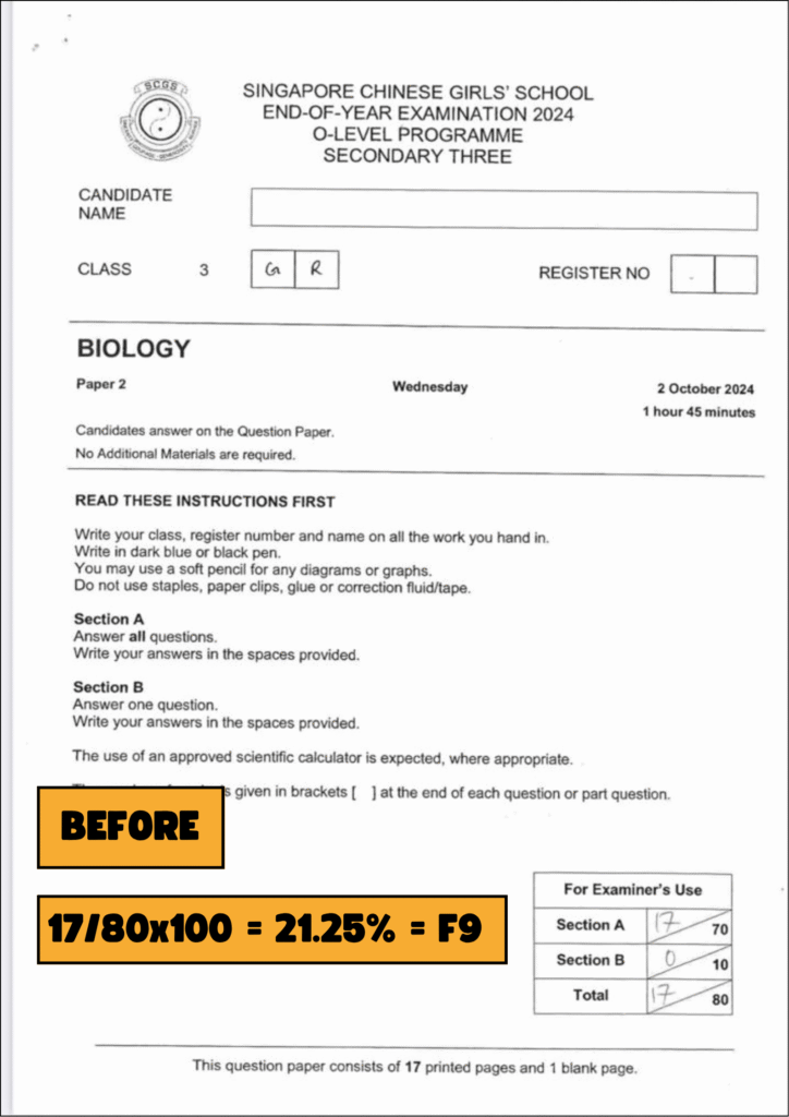 page8