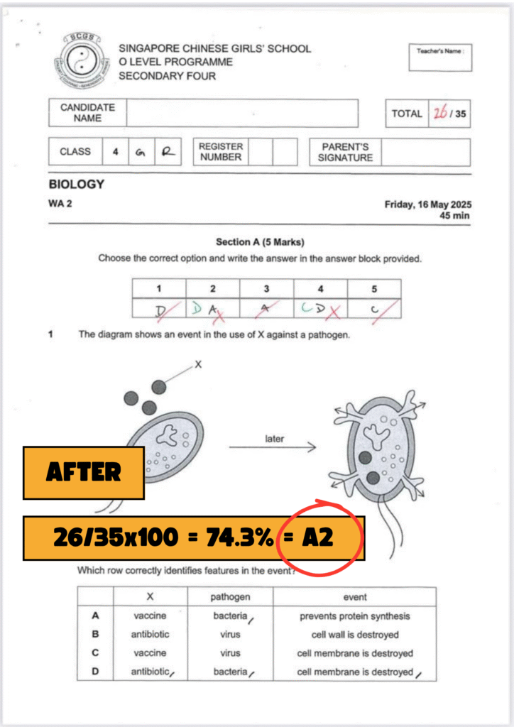 page9